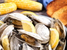 clams